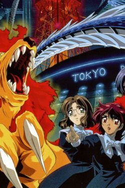 Poster of the post Magic Knight Rayearth: the truth about