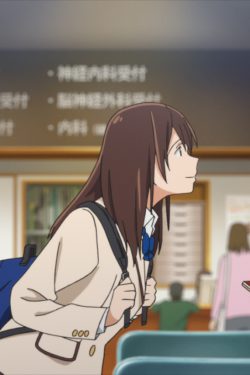 Poster of the reviews The I Want to Eat Your Pancreas Dilemma